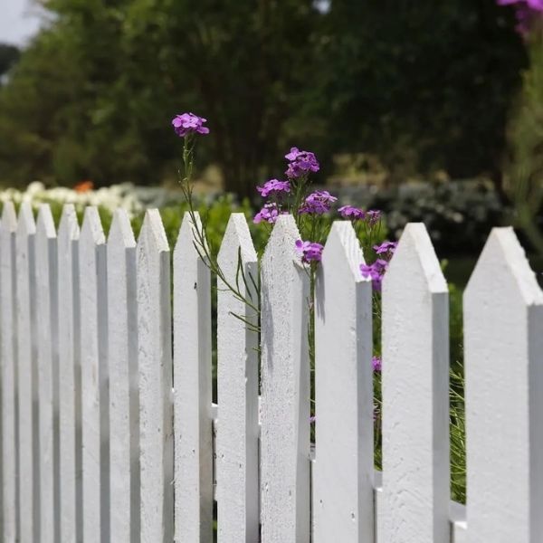 Fences