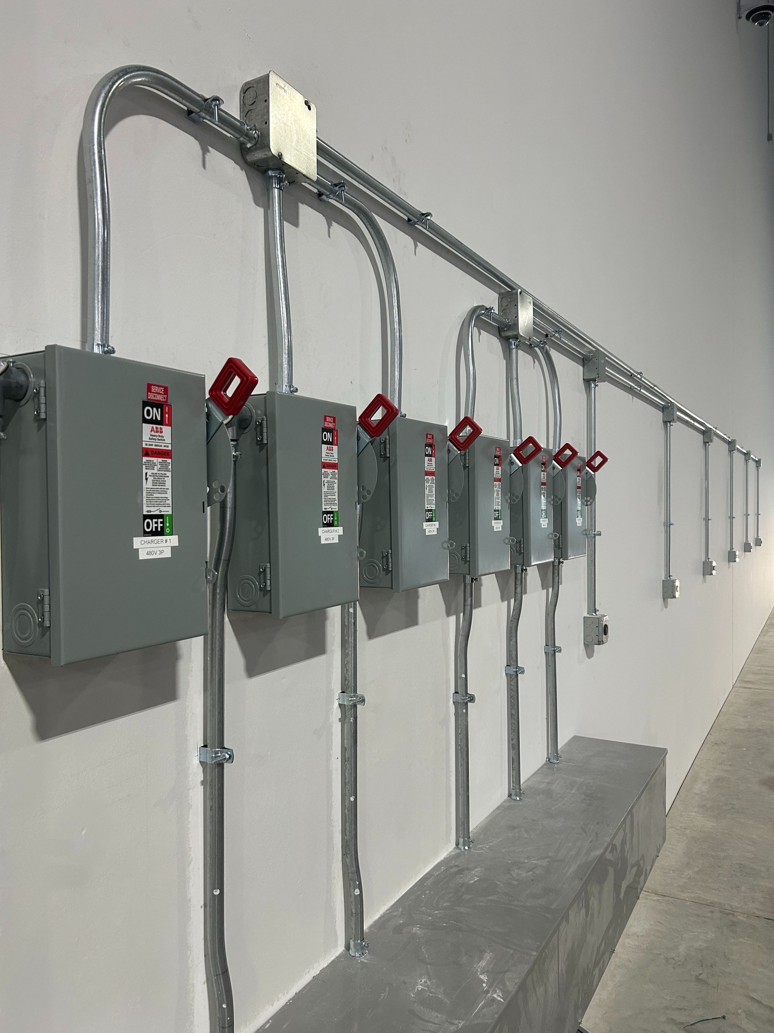 World Emblem Project (7).jpg