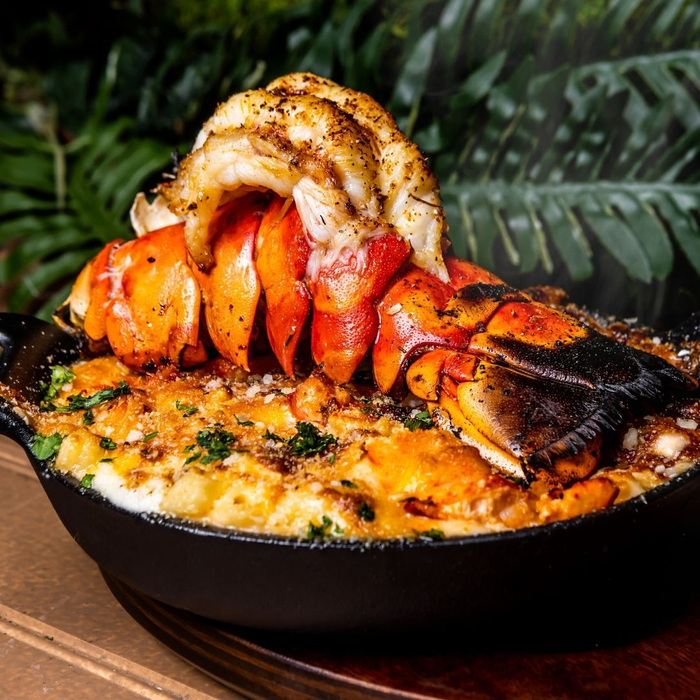 4 Highlights of Our Mediterranean Fusion Menu - 2.jpg