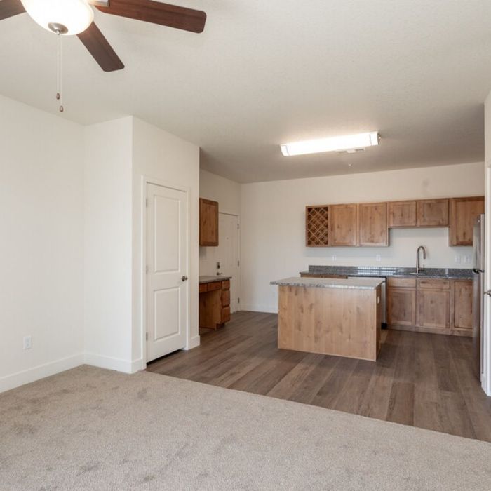 apartment kitchen and living room