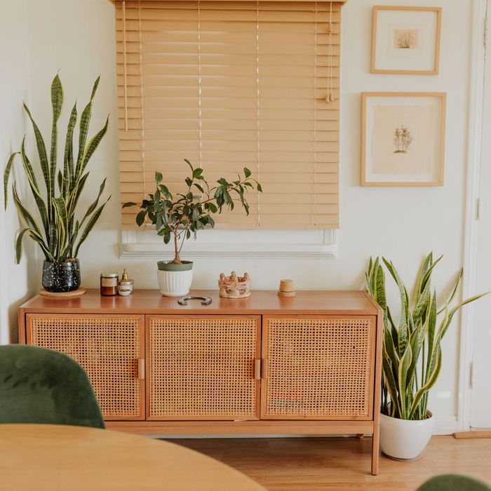 apartment with plants