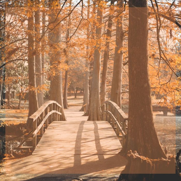 Take a Scenic Walk in Poudre River Trail.jpg