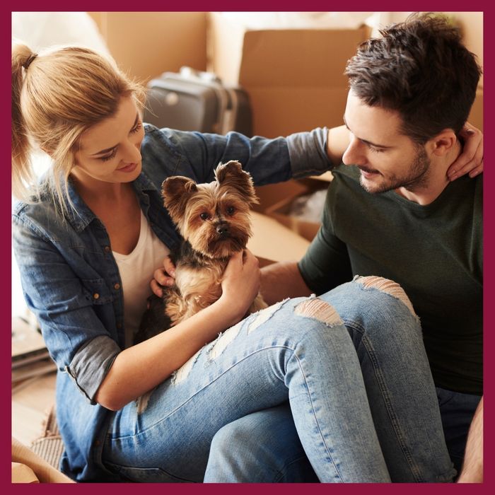 image of a family with a puppy