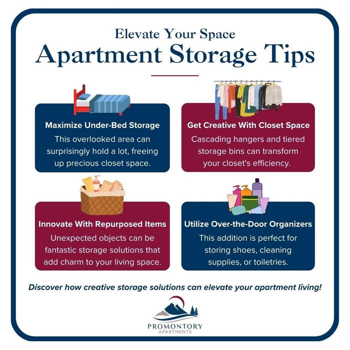 Infographic that lists apartment storage tips