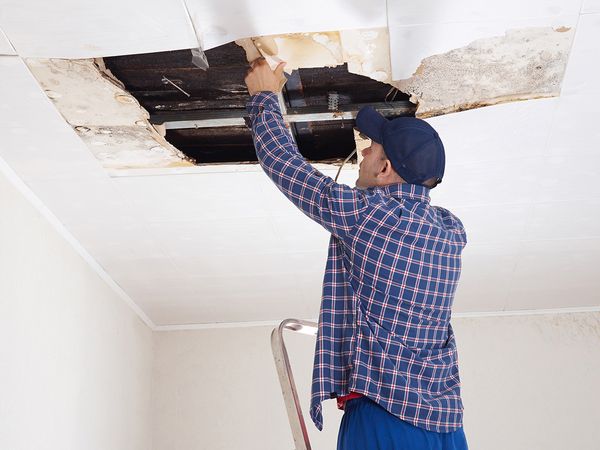 Water Damage Pros } Water Mitigation Mount Pleasant