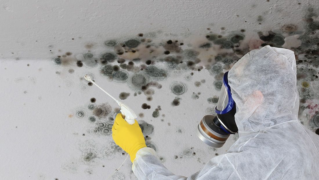 a worker in protective gear spraying mold on a wall