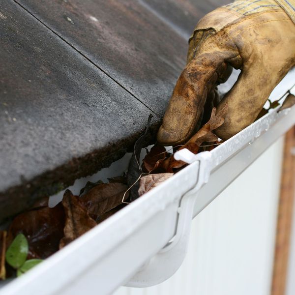 Clean Your Gutters and Downspouts