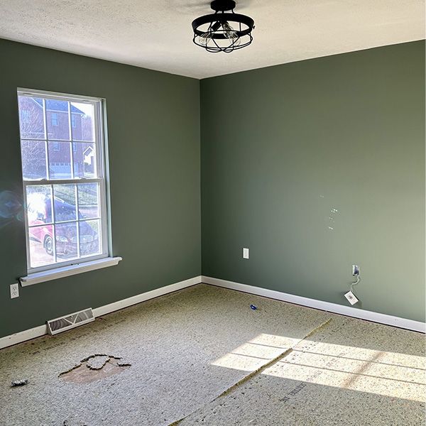 green home interior walls