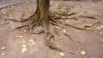 Screenshot 2025-12-08 at 3.23.45 PM.png