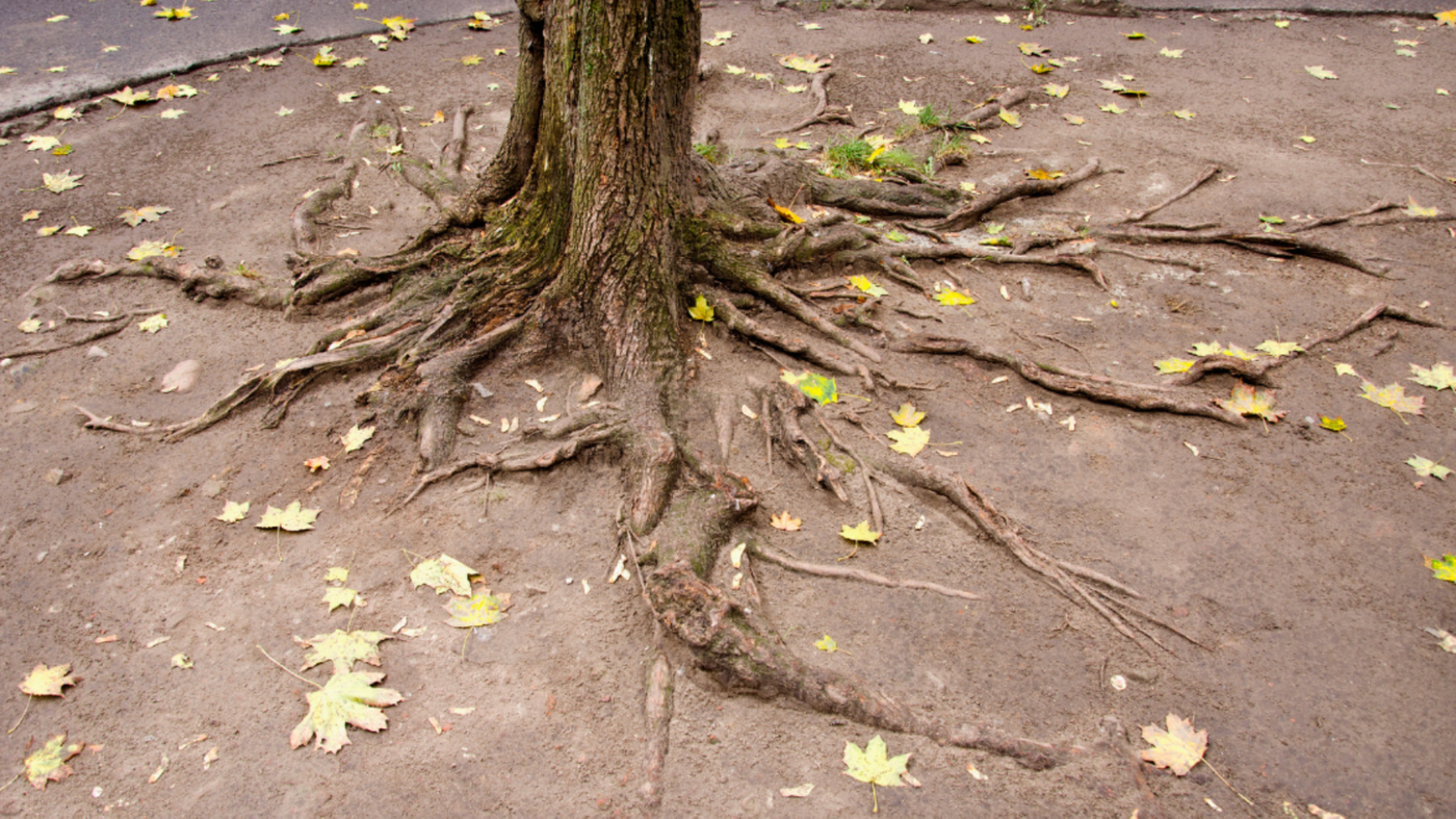 Screenshot 2025-12-08 at 3.23.45 PM.png