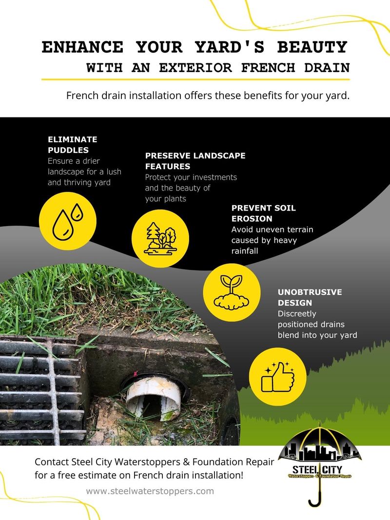M38020 - Information Design Infographic - Enhance Your Yard's Beauty with an Exterior French Drain.jpg