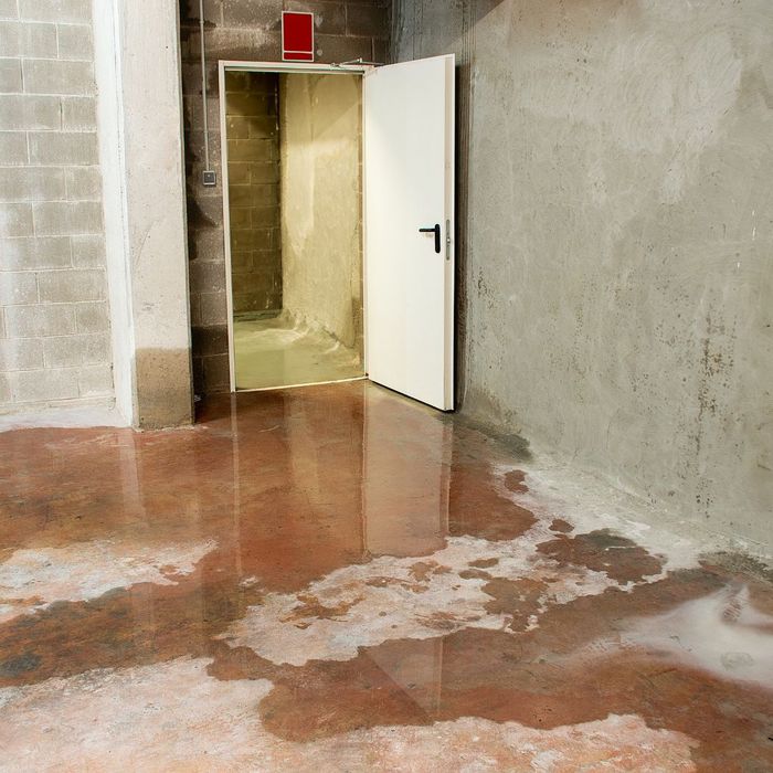 basement water damage 