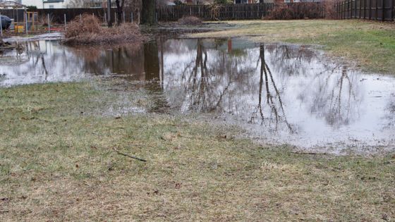 yard with standing water
