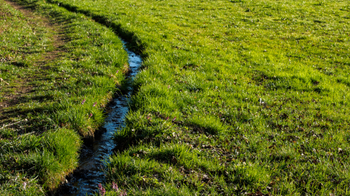 Screenshot 2025-12-08 at 3.19.18 PM.png