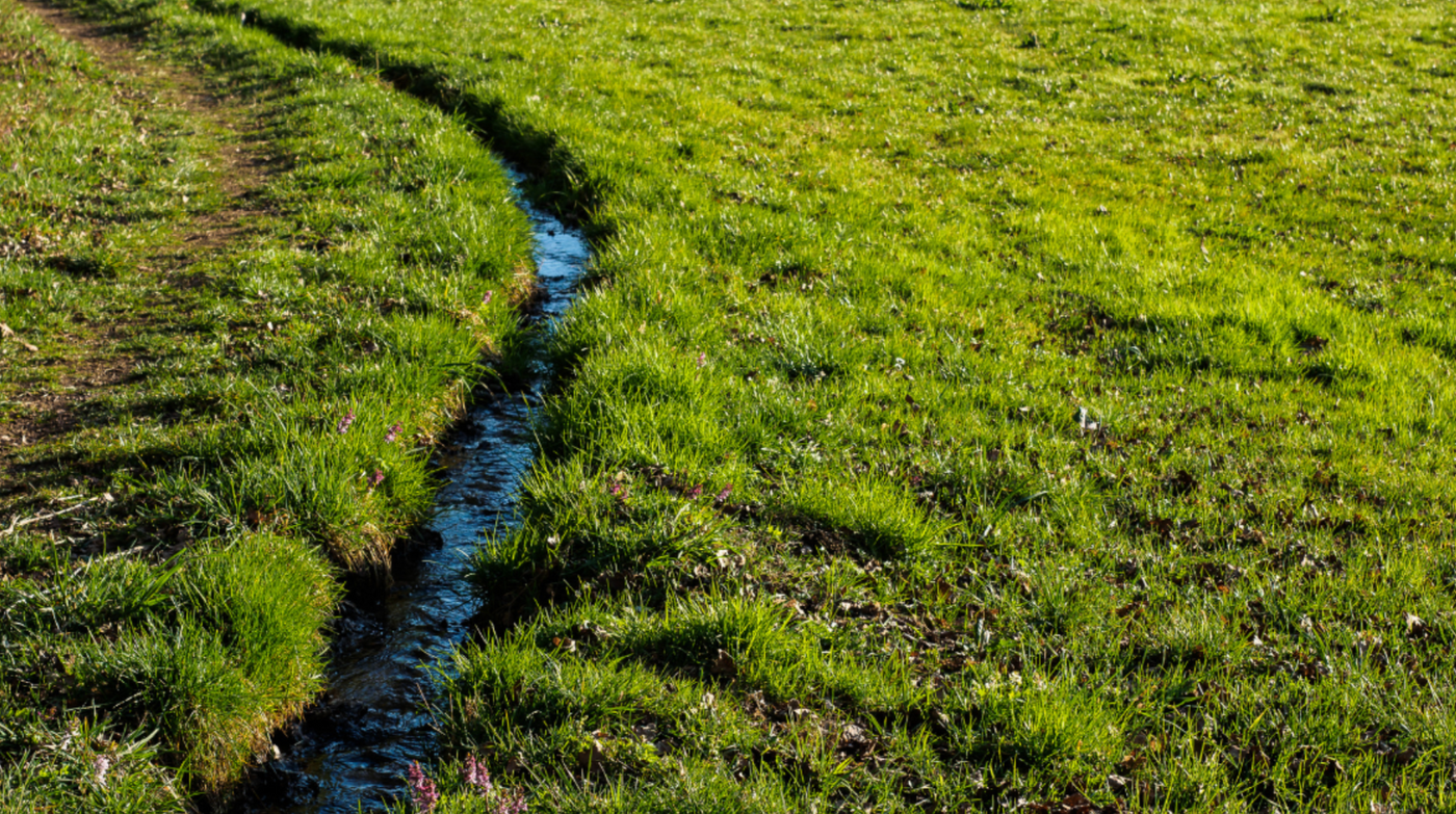 Screenshot 2025-12-08 at 3.19.18 PM.png