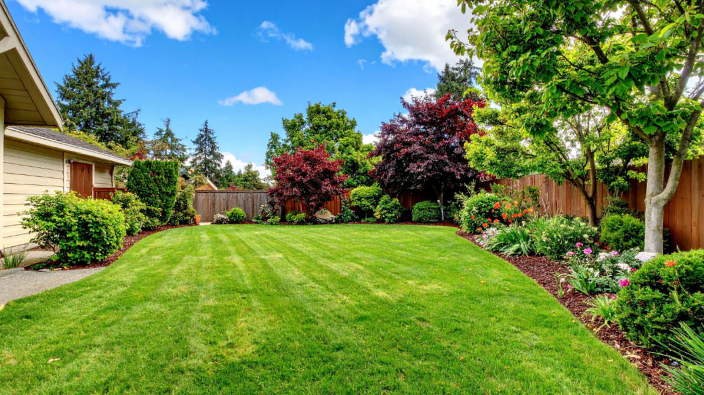 Spring Landscaping and Drainage: Planning Around Water Flow