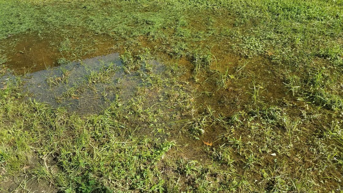 Featured Image %2839%29.jpg