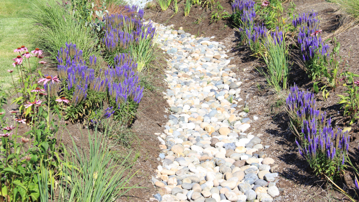 Screenshot 2025-12-10 at 11.51.45 AM.png