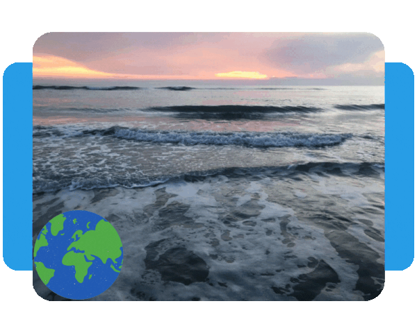 M37621 - Finsulate USA - 5050 imgs.gif