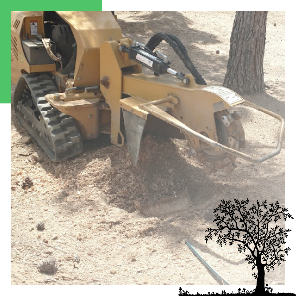 stump grinding