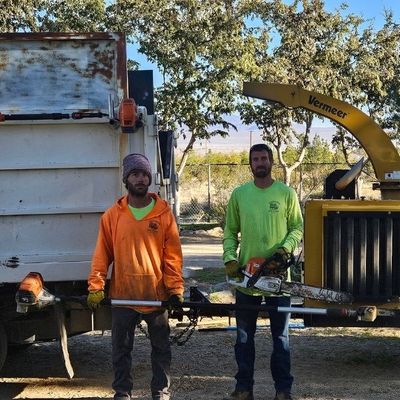 company ready to perform tree service