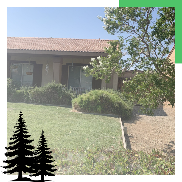 tree removed in front of a home
