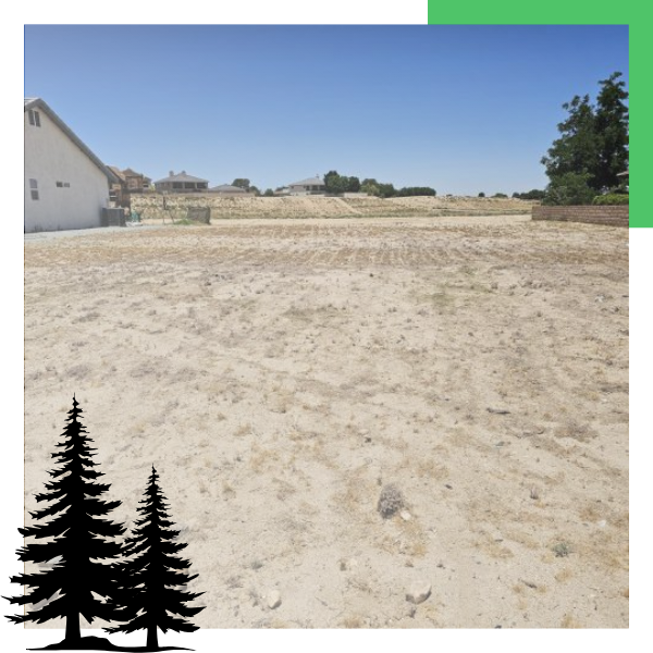 cleared area where there was weeds