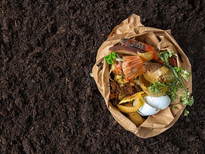 Composted food