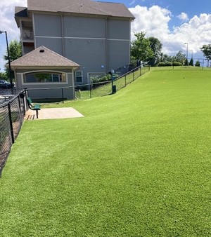 Bark Park Completed 2.jpeg
