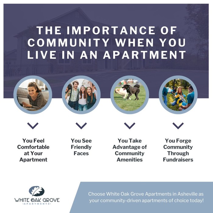 Infographic - The Importance of Community When You Live in an Apartment (1).jpg