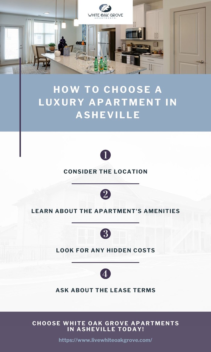 Infographic - How to Choose a Luxury Apartment in Asheville.jpg