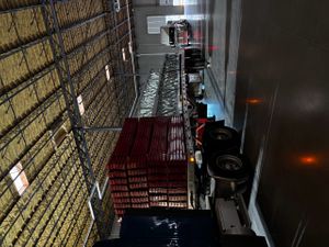 IMG_4894(1).jpeg