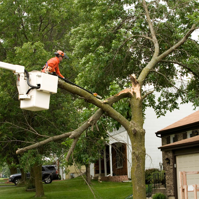 Storm Damage Prevention.jpg