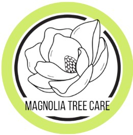 Magnolia Tree Care