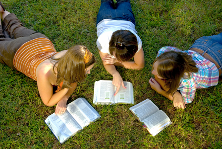 students looking at textbooks outside on the grass