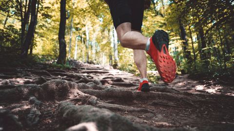 image of a runner in the mountains