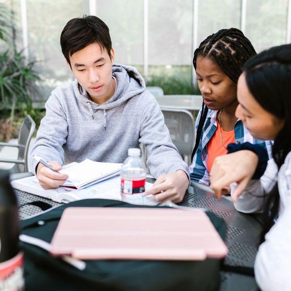 Group of students studying. Group of students studying.