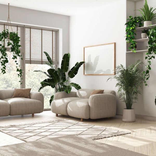 modern living room with multiple plants