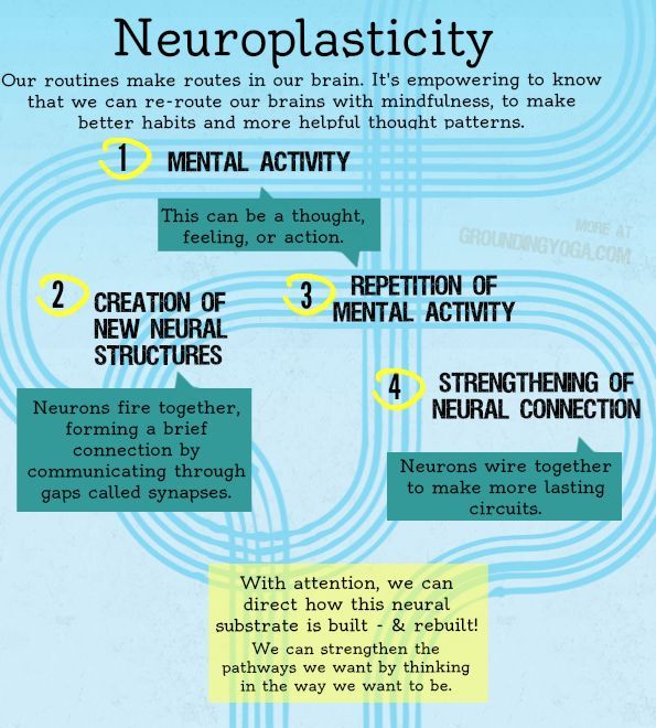 neuroplasticity-5984e0217ae08.jpg