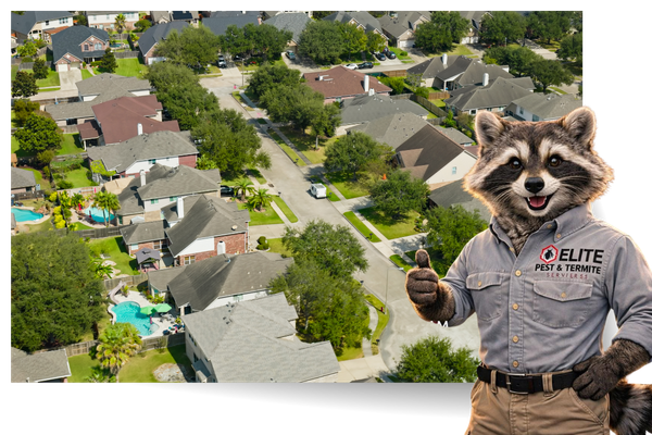 areas 1.png