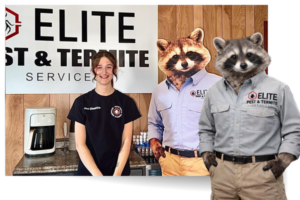 extra 1 (2).png