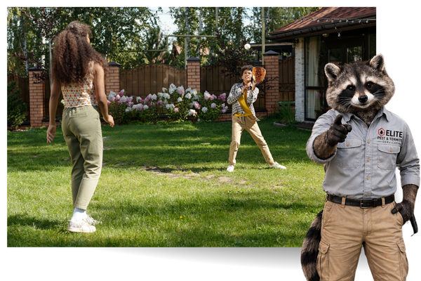 yard 1.png