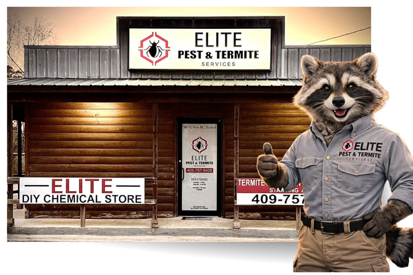 our store.png
