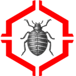 bed bug and flea.png
