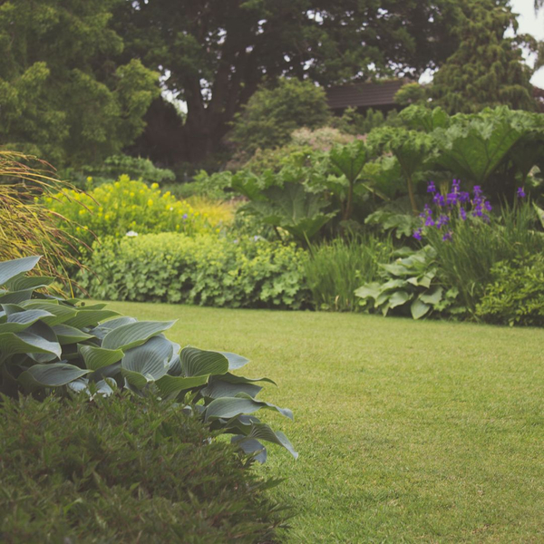Importance of Hiring a Landscape Construction Company2.jpg