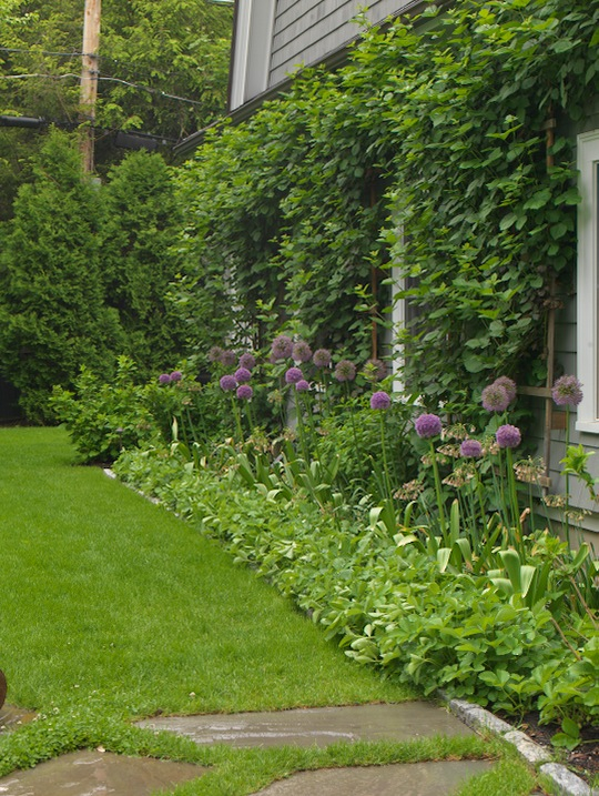 Longman back of garage.jpg