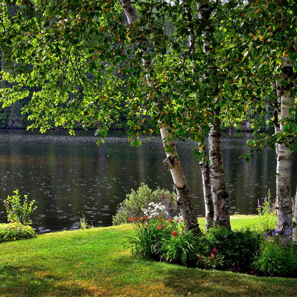Importance of Hiring a Landscape Construction Company1.jpg