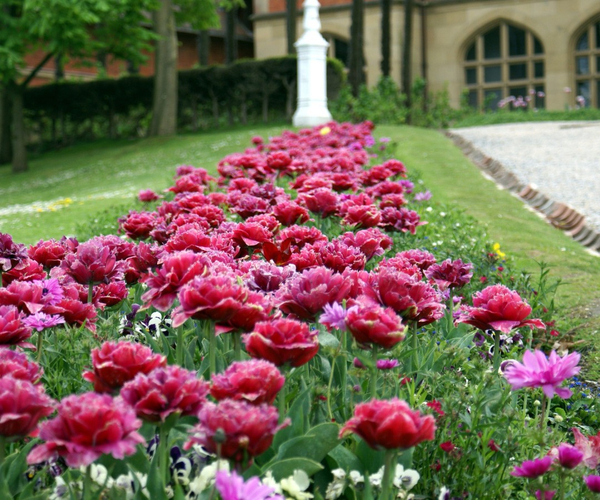 Spring is Here, Time to Schedule Your Landscaping Projects! - Image 4.jpg