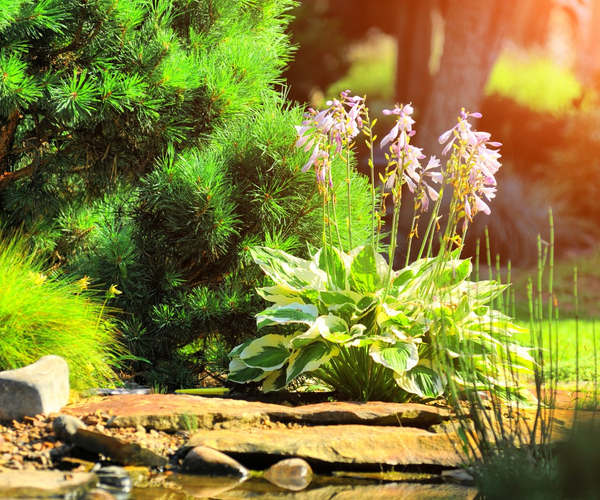 Spring is Here, Time to Schedule Your Landscaping Projects! - Image 1.jpg