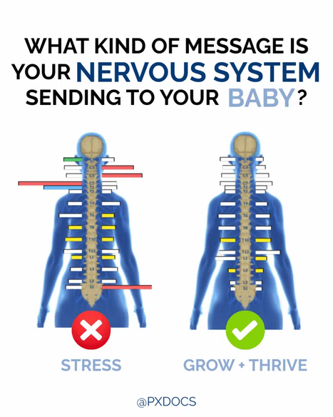 Prenatal-Chiropractic-Infographic-PX-819x1024.png (1).png